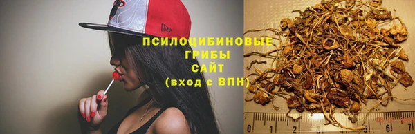 индика Алзамай