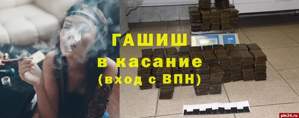 индика Алзамай