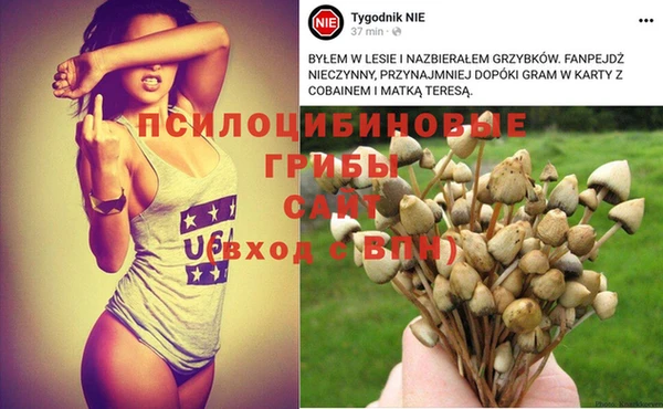 spice Алексин