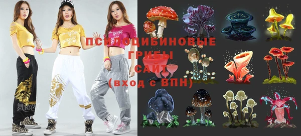 спиды Алексеевка