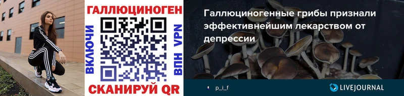 MEGA ТОР  Мураши  Псилоцибиновые грибы Magic Shrooms 